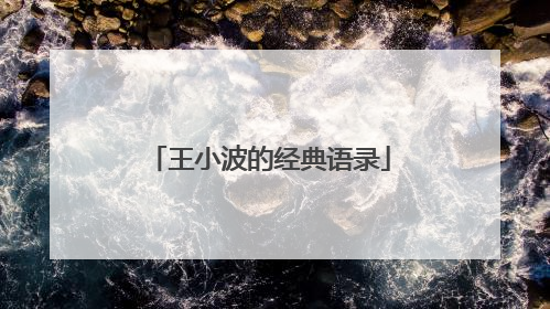 王小波的经典语录