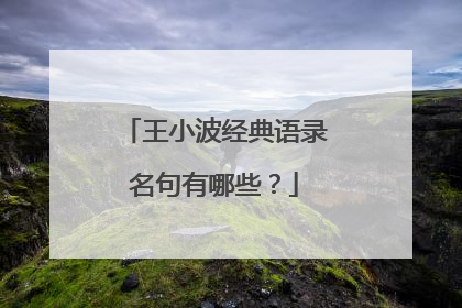 王小波经典语录名句有哪些?