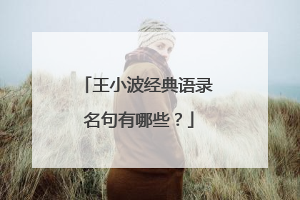 王小波经典语录名句有哪些?