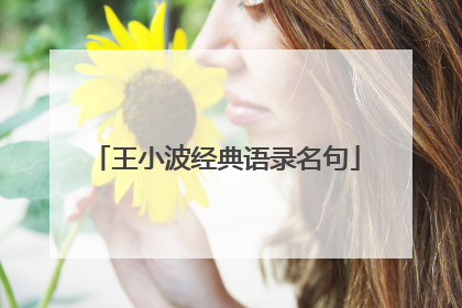 王小波经典语录名句