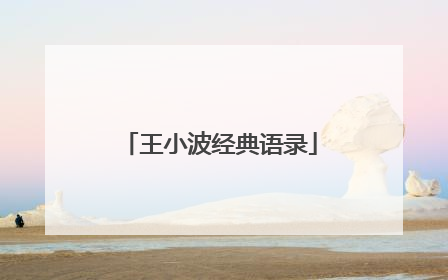 王小波经典语录