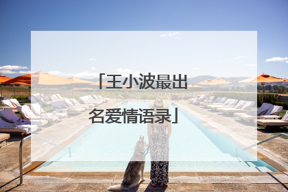 王小波最出名爱情语录