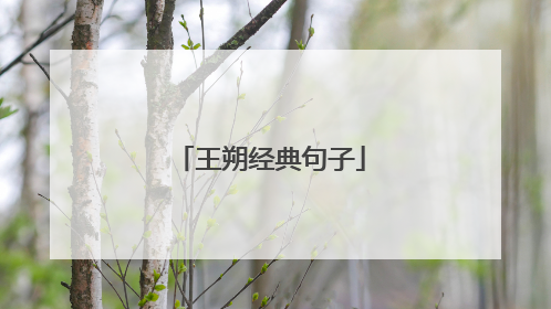 王朔经典句子