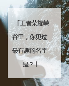 王者荣耀峡谷里,你见过最有趣的名字是?
