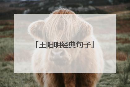 王阳明经典句子