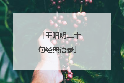 王阳明二十句经典语录