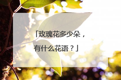 玫瑰花多少朵,有什么花语?