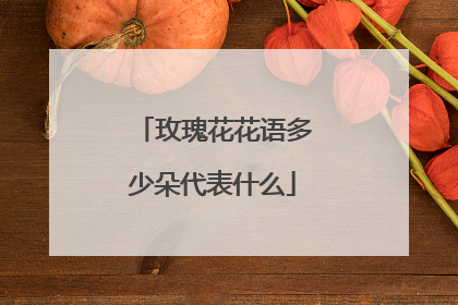 玫瑰花花语多少朵代表什么