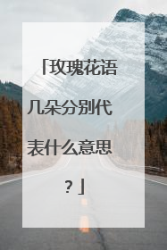 玫瑰花语几朵分别代表什么意思?