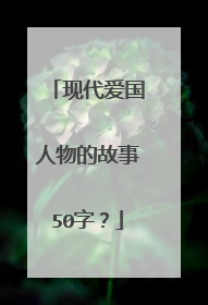 现代爱国人物的故事50字?