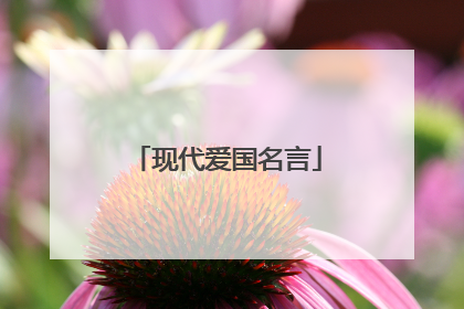 现代爱国名言