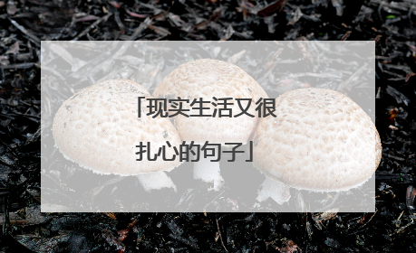 现实生活又很扎心的句子