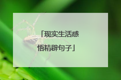 现实生活感悟精辟句子
