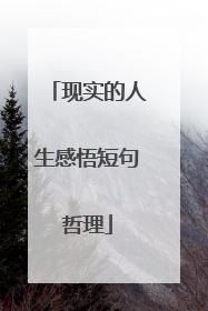现实的人生感悟短句哲理