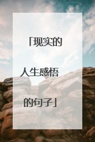 现实的人生感悟的句子
