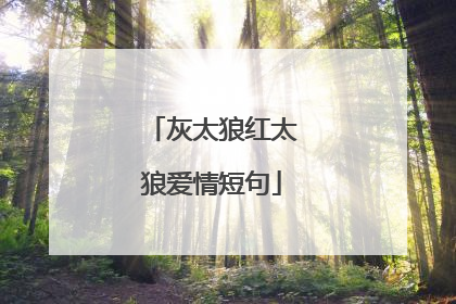 灰太狼红太狼爱情短句