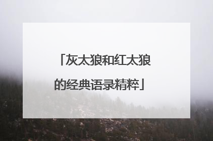 灰太狼和红太狼的经典语录精粹