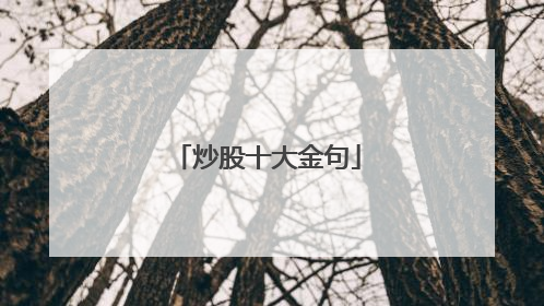炒股十大金句