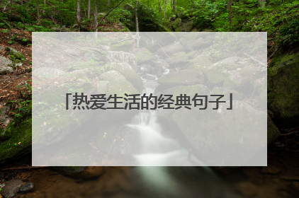 热爱生活的经典句子