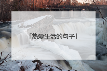 热爱生活的句子