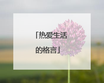 热爱生活的格言