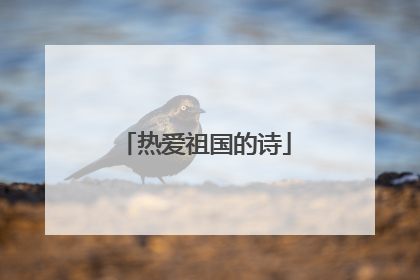 热爱祖国的诗