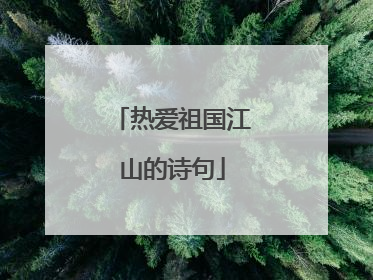 热爱祖国江山的诗句