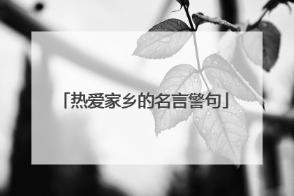 热爱家乡的名言警句