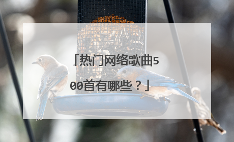 热门网络歌曲500首有哪些?