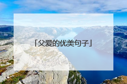 父爱的优美句子
