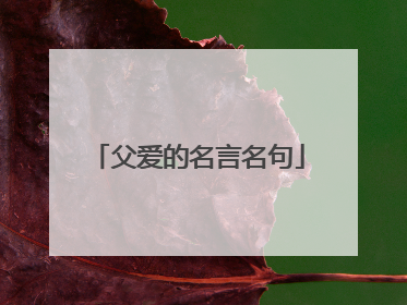 父爱的名言名句