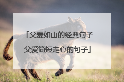 父爱如山的经典句子 父爱简短走心的句子