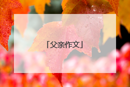 父亲作文