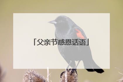 父亲节感恩话语