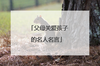 父母关爱孩子的名人名言