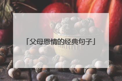 父母恩情的经典句子