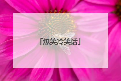 爆笑冷笑话