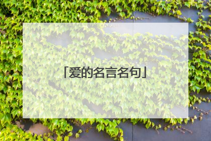 爱的名言名句