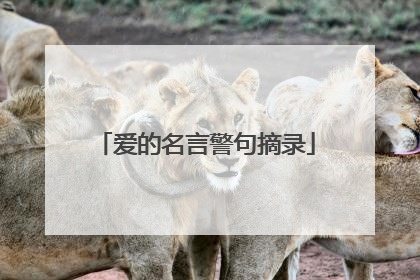 爱的名言警句摘录