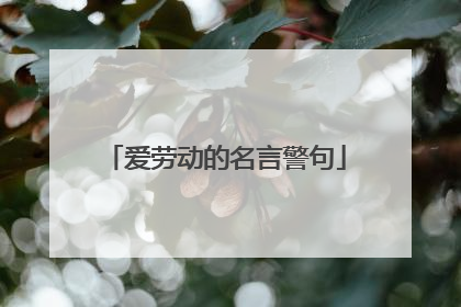 爱劳动的名言警句
