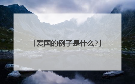 爱国的例子是什么?