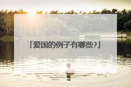 爱国的例子有哪些?
