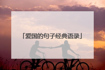爱国的句子经典语录