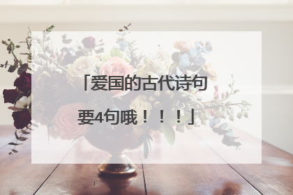 爱国的古代诗句要4句哦!!!