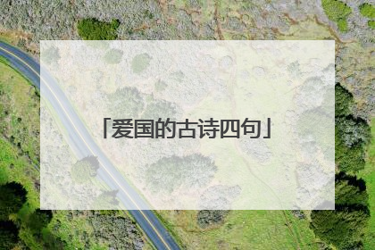 爱国的古诗四句
