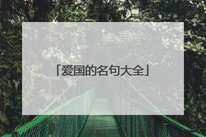爱国的名句大全