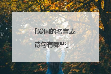 爱国的名言或诗句有哪些