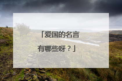 爱国的名言有哪些呀？