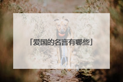 爱国的名言有哪些