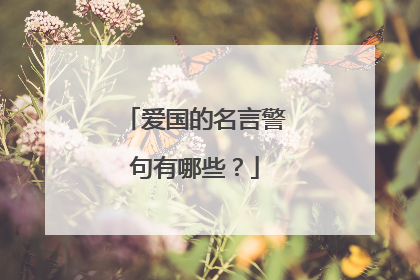 爱国的名言警句有哪些?